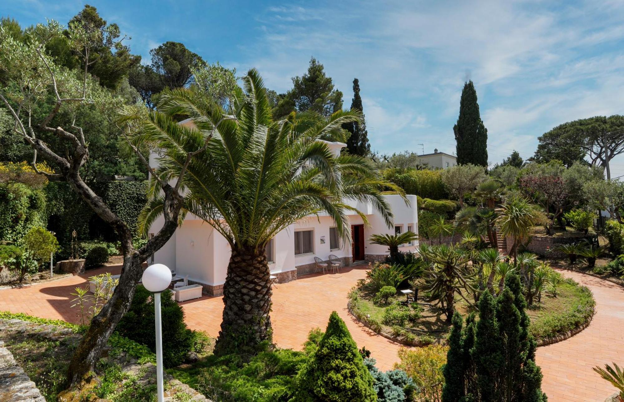 Villa Donna Carolina Capri Anacapri  Exteriör bild